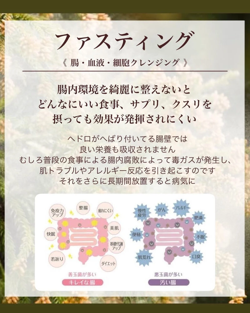 ブログ